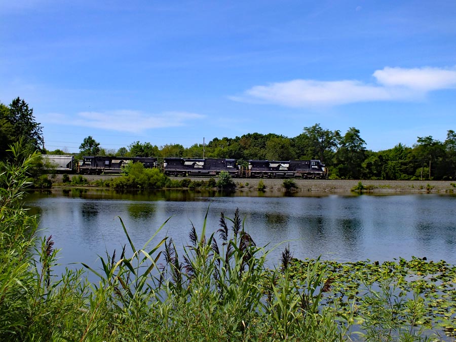 Filename: 20140816 NS 6432 new galilee 025rep.jpg
Size: 169.47 KB
08-16-2025, 10:36 AM