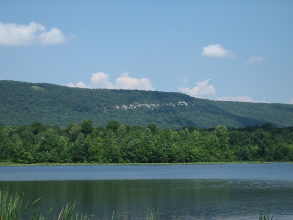 Filename: 016.JPG
Size: 87.42 KB
Today, 03:20 PM